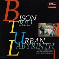 Bison Katayama Trio / Urban Labyrinth