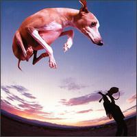 Paul Gilbert / Flying Dog (일본수입)