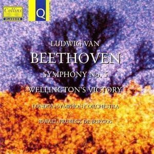 Rafael Fruhbeck de Burgos / Beethoven : Symphony No. 5, Wellington&#039;s Victory (수입/30022)