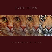 빅타이거 그룹 (Bigtiger Group) / Evolution